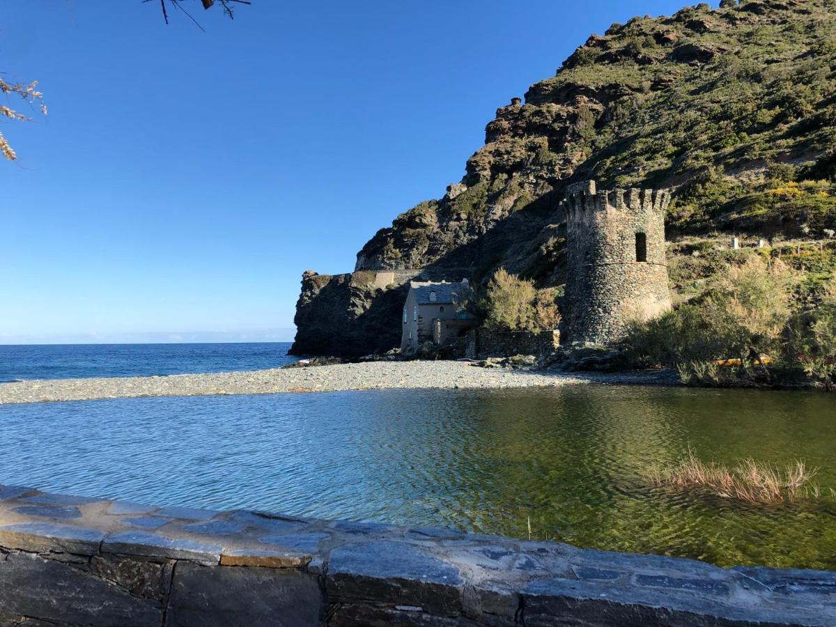 Cap Corse - Grande Maison Au Bord De Mer - Pmr Grillasca Екстериор снимка